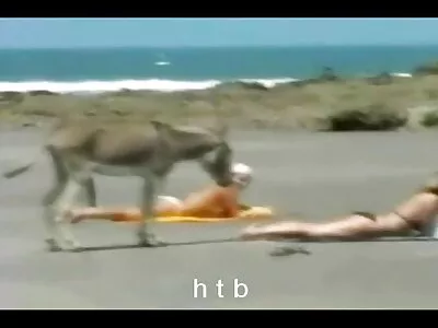Брюнетка відсмоктує мати син порно його